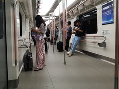 -上海浦东国际机场-T2航站楼