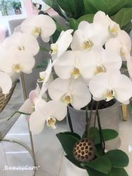 -Hi Beauty Skin 科技美肤中心