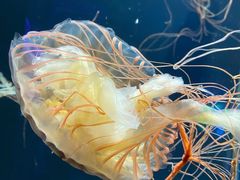 -成都浩海立方海洋公园