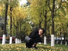 -四川美术馆