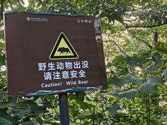 -紫金山山顶公园