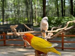 -北京野生动物园