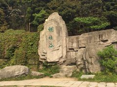 -梧桐山风景名胜区