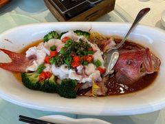 鲜花椒东星斑-鲍鱼王子(深圳大厦店)