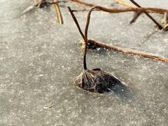 -马家湾湿地公园