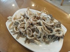 拌牛百叶-老牌依强牛肉店(达道总店)