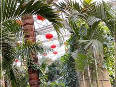 -南宫五洲植物乐园