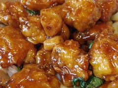 -禧宴Joyous Restaurant(禧园店)
