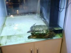 -印堂精品装饰丨一站式装修(宜山店)