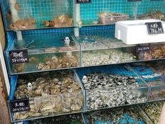 水产区-北戴河庆山饭店·海鲜砂锅粥(北戴河黑石路店)
