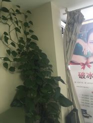 -净妍美肌专业净毛嫩肤连锁机构