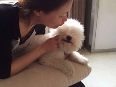 -中农大我爱我爱24h动物医院·中医针灸·猫专科·骨科医疗中心(双井店)