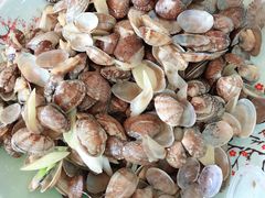 辣炒花蛤-雅逸居海鲜小厨