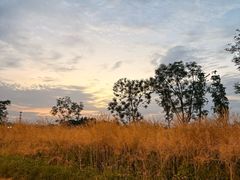 -桤木河湿地公园