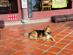 -东南悬空寺方广岩