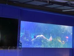 -重庆欢乐海底世界