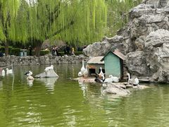 -团结湖公园