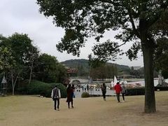-上海月湖雕塑公园
