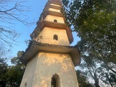 -江心屿景区