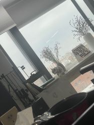 -Sying杉影日式烫染專門店
