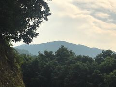 -大屏嶂森林公园