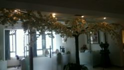 -花轿喜屋婚礼策划