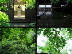 -茅家埠