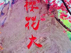 -洛龙公园