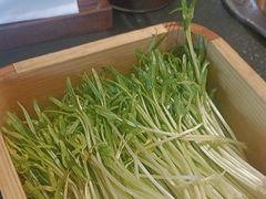 活体空心菜苗儿-阳坊胜利涮羊肉(阳坊老店)