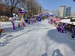 -沈阳奥体冰雪嘉年华