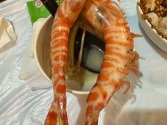 -鲜入围煮花胶鸡海鲜火锅