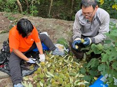游乐设施-旺山景区