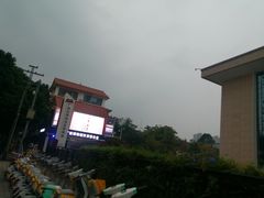 -广西壮族自治区博物馆