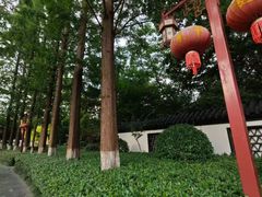 -郑和公园