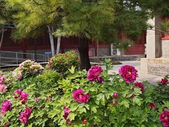 -大钟寺古钟博物馆