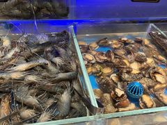 -加餐海鲜自助(宝龙一城店)