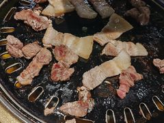 -杨小佳·齐齐哈尔烤肉·烤串(广州店)