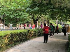 -莲湖公园