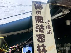 -猫的魔法密林(衣裳街店)
