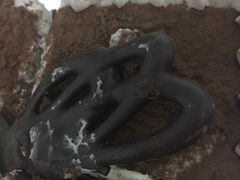 -美丽心情蛋糕(江苏路店)