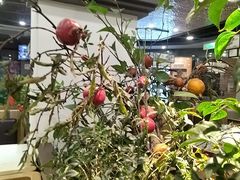 -洞庭家宴·头牌甲鱼(广渠门店)