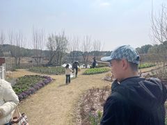 -嘉北郊野公园