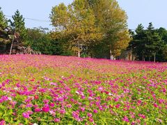 -羊亭河湿地公园