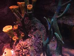 -沈阳海洋探索中心