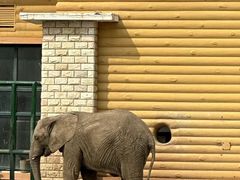 -哈尔滨北方森林动物园