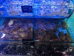 -渔民船说·北塘海鲜·天津菜·海肠捞饭(北塘古镇店)
