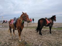 -青海湖国家重点风景名胜区