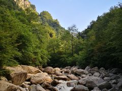 -青峰峡国家森林公园