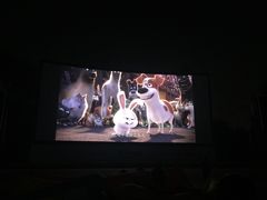 -枫花园汽车电影院(朝阳公园店)