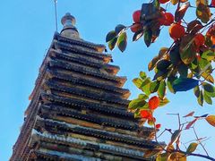 -北京石刻艺术博物馆(五塔寺)